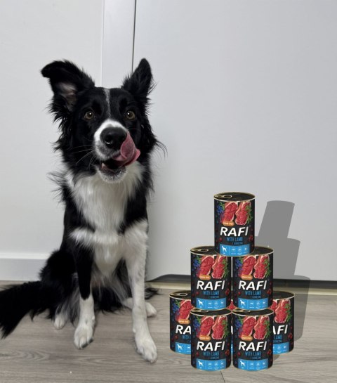 Karma Mokra Dla Psów RAFI z Jagnięciną, Borówką i Żurawiną 400g - 1 szt.