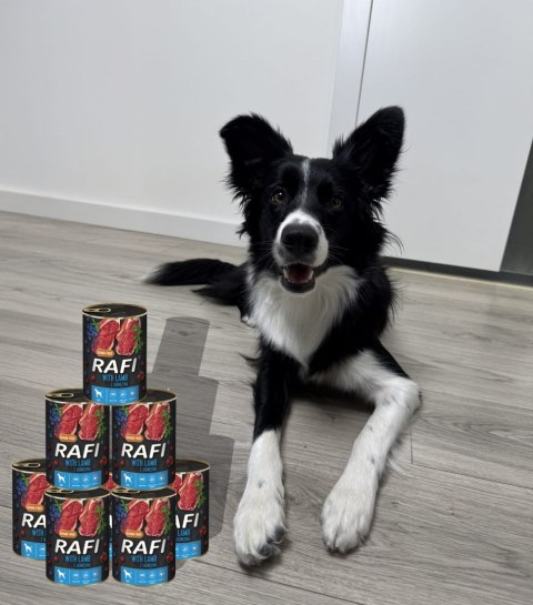 Karma Mokra Dla Psów RAFI z Jagnięciną, Borówką i Żurawiną 400g - 12 szt.