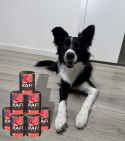 Karma Mokra Dla Psów RAFI z Wołowiną, Borówką i Żurawiną 400g - 24 szt.