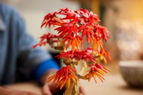 10348 - LEGO The Botanical Collection - Klon palmowy bonsai