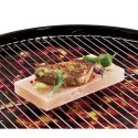 Blok soli do grillowania 10 x 20 x 2,5 cm