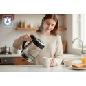 Czajnik elektryczny szklany z regulacją temperatury 1,8l 2200W Berdsen BD-715