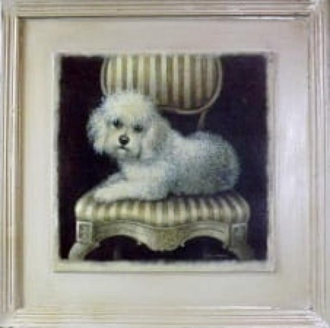 Obraz z Postarzanym Efektem - Piesek (Pudel) 41x41 cm