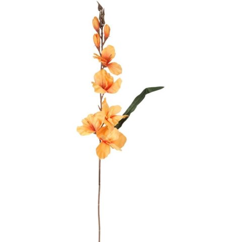 GLADIOLA ŻÓŁTA