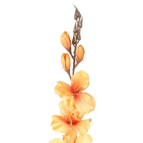 GLADIOLA ŻÓŁTA