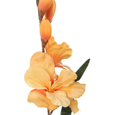 GLADIOLA ŻÓŁTA