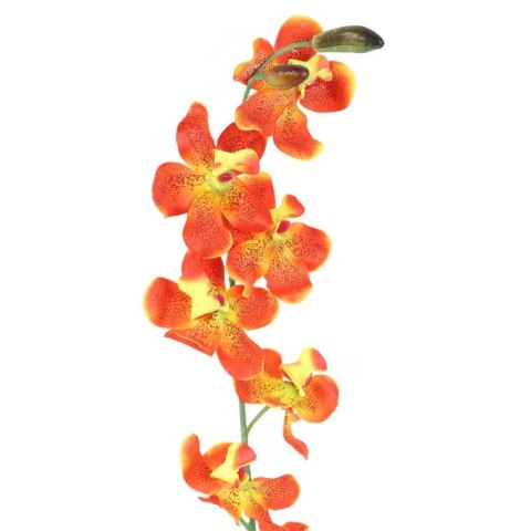 Gałązka storczyka w kolorze pomarańczowym 70 cm