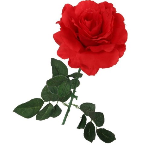 Róża pojedyncza rozwinięta w kolorze czerwonym 68 cm