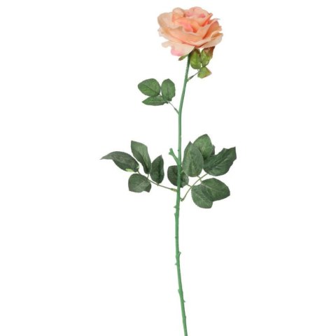 Róża pojedyncza, rozwinięta w kolorze łososiowym 68 cm