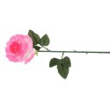 Róża pojedynka 68 cm w kolorze różowym