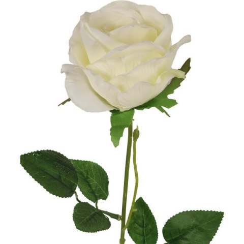 Sztuczna róża z pąkiem w białym kolorze 68 cm