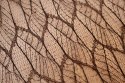 ORGANZA BRĄZOWA Z NADRUKIEM BROKATOWYM 0,50 x 10 m
