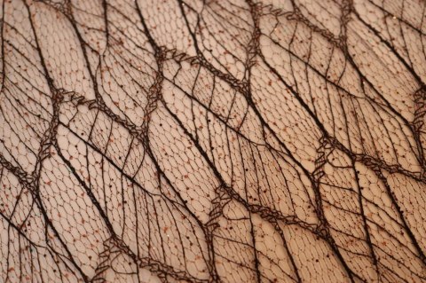 ORGANZA BRĄZOWA Z NADRUKIEM BROKATOWYM 0,50 x 10 m