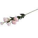 Różowa gałązka Eustoma z 6 kwiatami, wysokość 80 cm, wyglądająca jak żywa