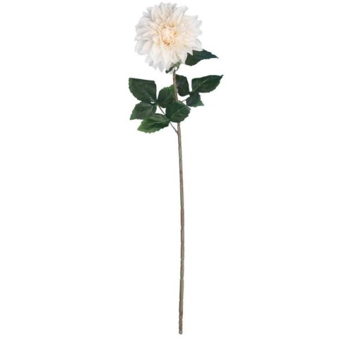 Daliia DUŻY kwiat pojedynczy KREMOWA 74 cm