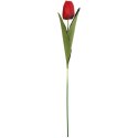 TULIPAN 45 CM czerwony