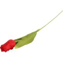 TULIPAN STRZĘPIASTY 54 CM CZERWONY