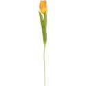 TULIPAN STRZĘPIASTY 54 CM POMARAŃCZOWY