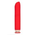 Silicone vibrator - 3 speeds and 6 frequencies