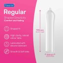 Pasante Regular Condoms Bulk 144 pcs