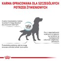 ROYAL CANIN Hypoallergenic 2kg
