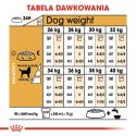 ROYAL CANIN Labrador Retriever Adult 12kg