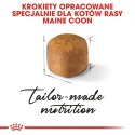 ROYAL CANIN Maine Coon Kitten 400g