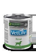 Farmina Vet Life Canine Renal 300g