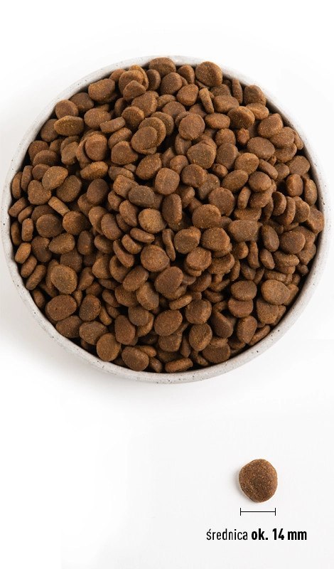 Orijen Six Fish Dog 2kg