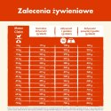 Purina Dog Chow Active Adult Z Kurczakiem 14kg
