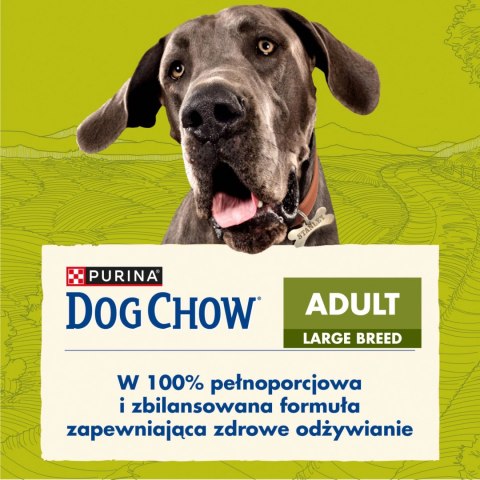 Purina Dog Chow Large Breed Adult Z Indykiem 14kg
