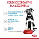 ROYAL CANIN Maxi Puppy 10x140g