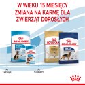 ROYAL CANIN Maxi Puppy 1kg