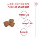 ROYAL CANIN Mini Puppy 800g
