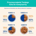 Purina Cat Chow Hairball Karma Z Kurczakiem I Zieloną Fasolką W Sosie 85g