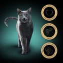 Sheba Classics Z Łososiem 85g