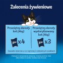 Felix Fantastic Łosoś W Galaretce 85g