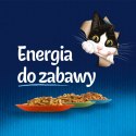 Felix Fantastic Łosoś W Galaretce 85g