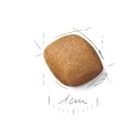 ROYAL CANIN Pomeranian Adult 500g