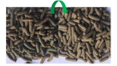 Versele-Laga Cuni Sensitive Complete - Pokarm Dla Królików 1,75kg