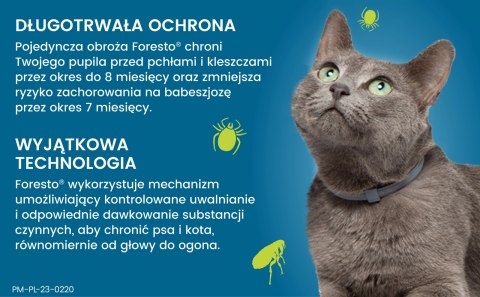 Bayer Foresto Obroża Dla Kotów I Psów 38cm