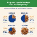 Purina Cat Chow Sterilised Karma Z Jagnięciną I Zieloną Fasolką W Sosie 85g