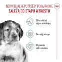 ROYAL CANIN Medium Puppy 4kg
