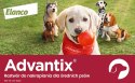 Bayer Advantix Krople Na Kleszcze I Pchły 4x2,5ml