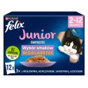 Felix Fantastic Junior W Galaretce 12x85g