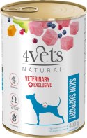 Dolina Noteci 4Vets Dog Skin Support 400g