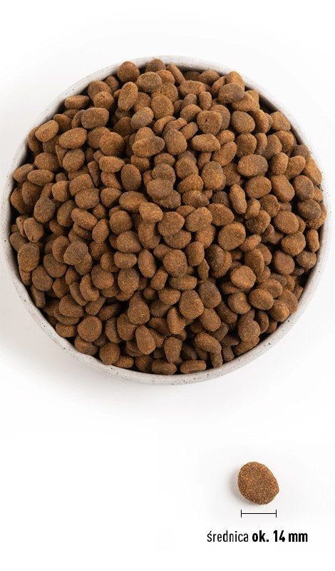 Orijen Regional Red Dog 6kg