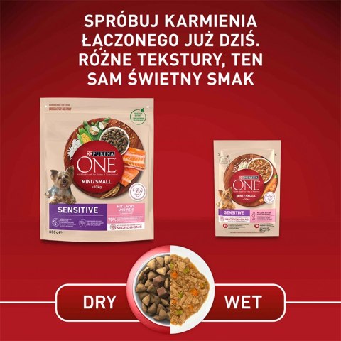 PURINA ONE Mini Delicate Łosoś, ryż - sucha karma dla psa - 800 g