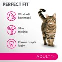 Perfect Fit™ - sucha karma pełnoporcjowa dla dorosłych kotów, bogata w wołowinę 7kg
