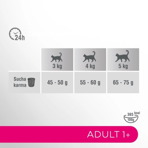 Perfect Fit™ - sucha karma pełnoporcjowa dla dorosłych kotów, bogata w wołowinę 7kg